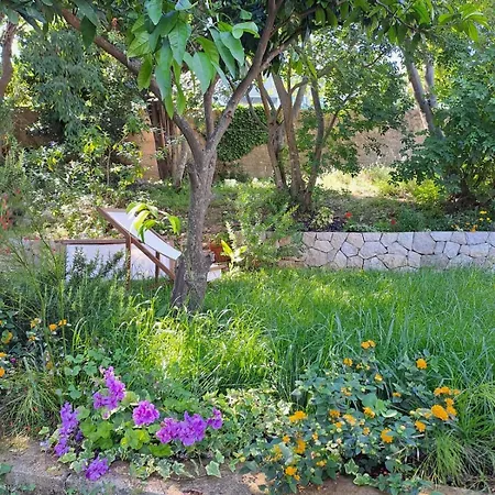 Ferienhaus Lucia's *